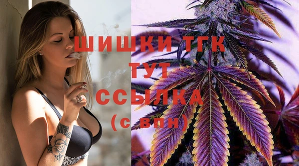 гашик Гусиноозёрск