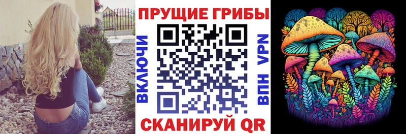 Галлюциногенные грибы мухоморы Плавск