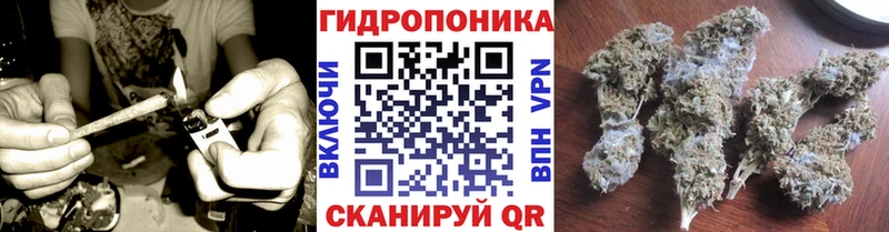 МАРИХУАНА Amnesia  купить наркотики цена  Плавск 